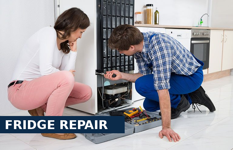 Fridge Repair Bromley